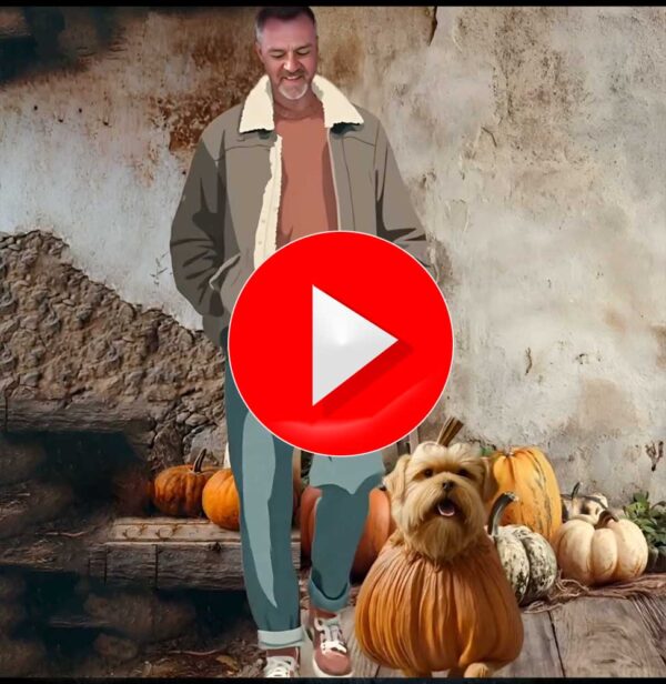 faceswapbada Halloween pumpkin dog G