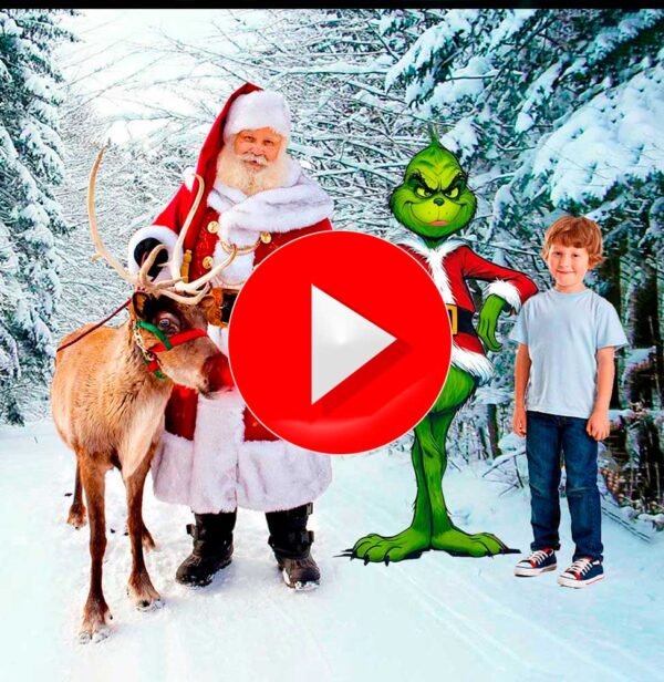faceswapbada-santa Grinch and Kid Demo
